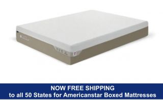 Americanstar Sweet 10" Plush Bed In Box