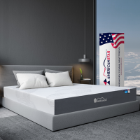 Americanstar Capella 10" Plush Bed In Box
