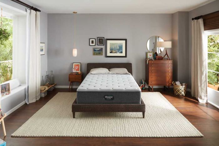 Beautyrest silver cheap open seas plush